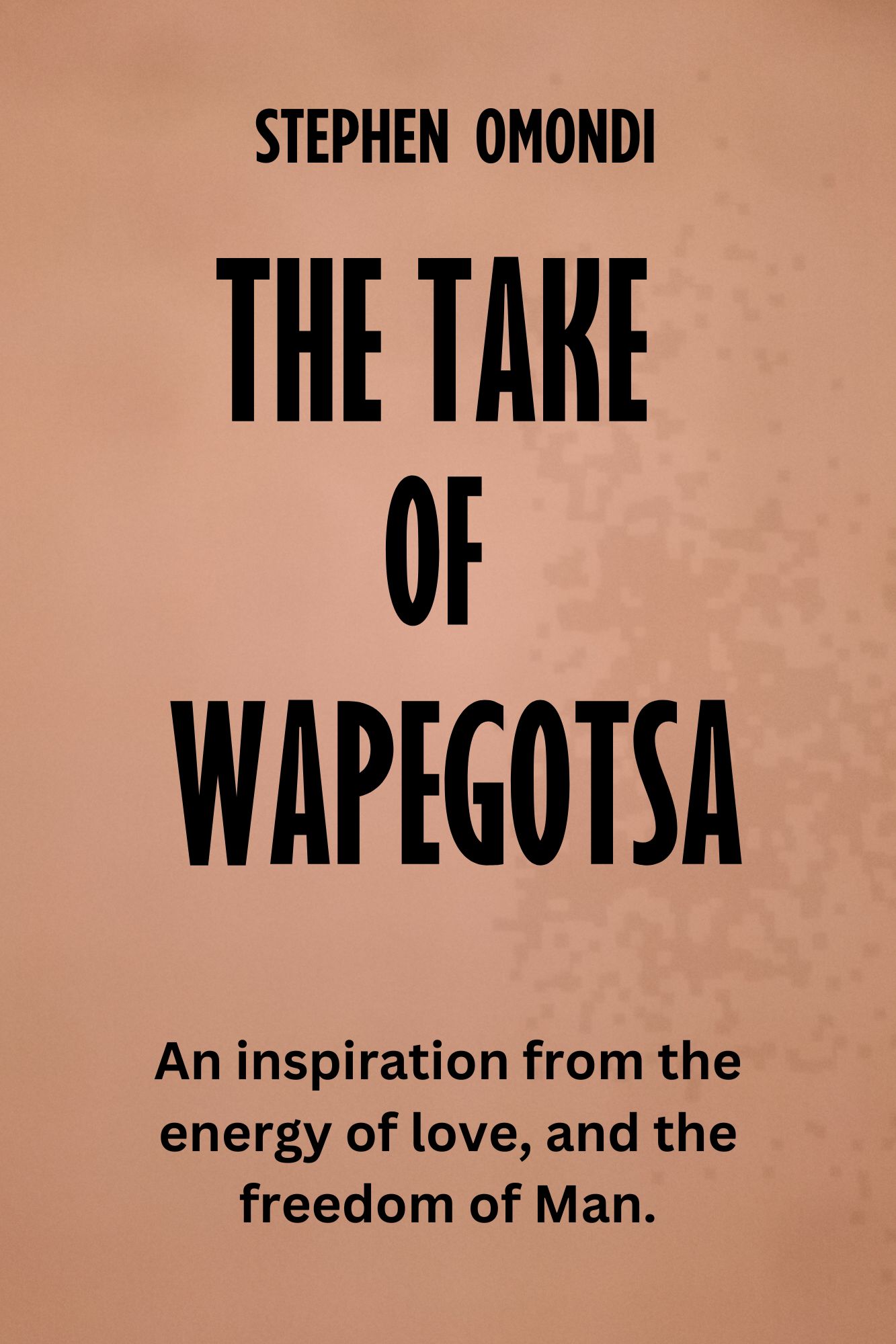 THE TAKE OF WAPEGOTSA book by STEPHEN OMONDI